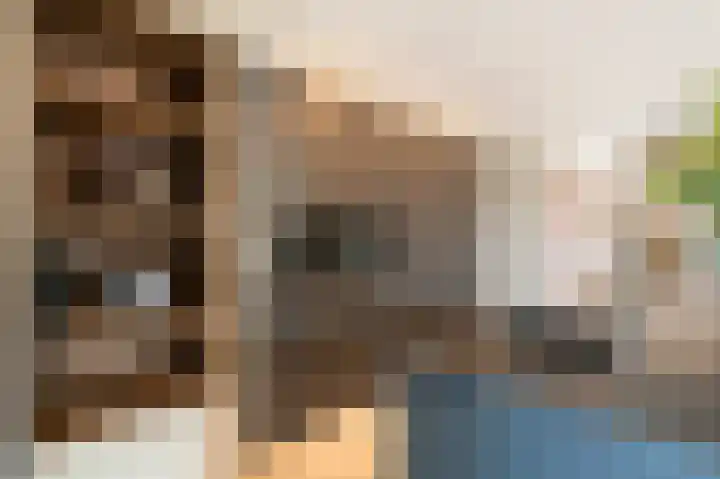Buitenbos 14 Meteren thumbnail 11