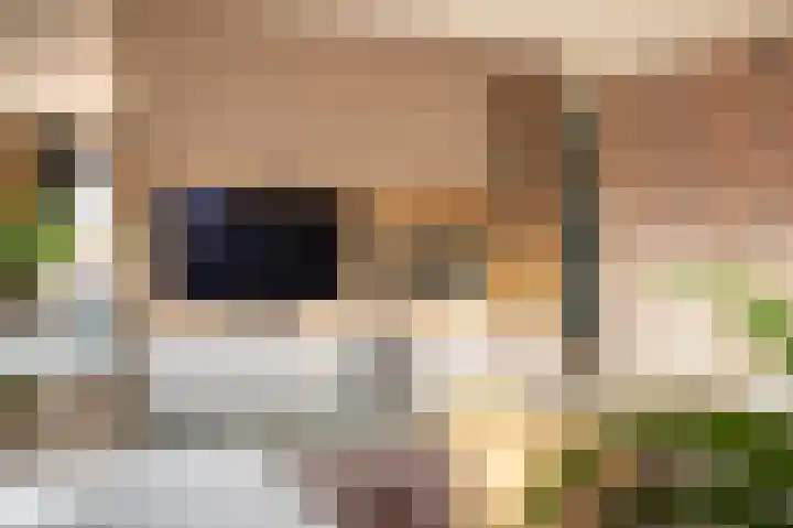 Buitenbos 14 Meteren thumbnail 17