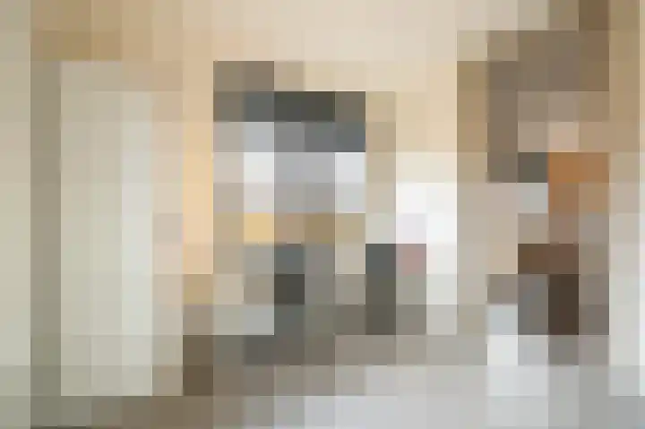 Buitenbos 14 Meteren thumbnail 18