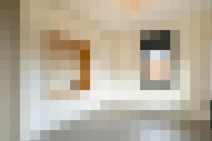 Buitenbos 14 Meteren thumbnail 19