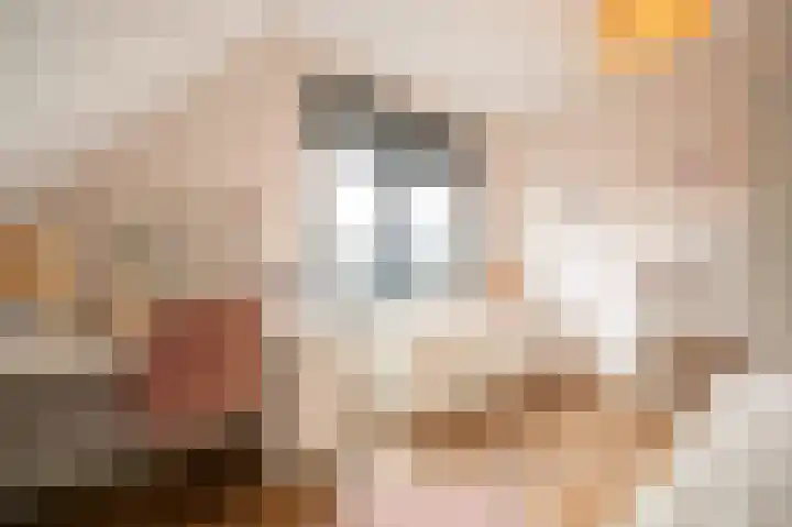 Buitenbos 14 Meteren thumbnail 25