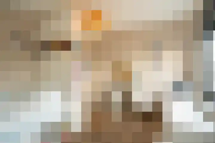 Buitenbos 14 Meteren thumbnail 27