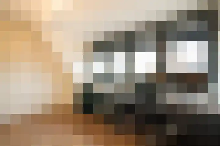 Buitenbos 14 Meteren thumbnail 29