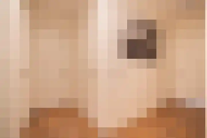 Buitenbos 14 Meteren thumbnail 30