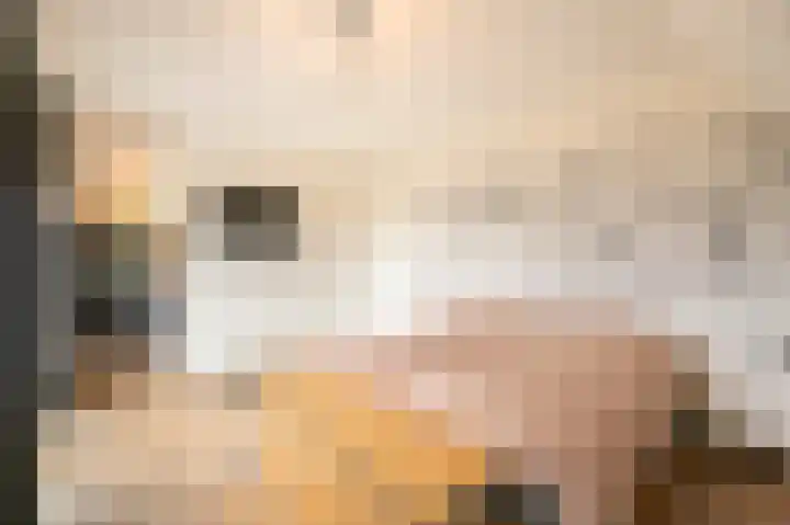 Buitenbos 14 Meteren thumbnail 32