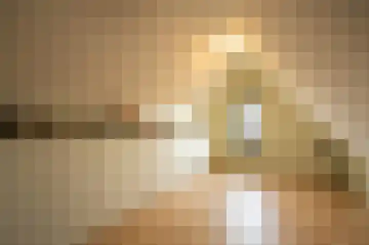 Buitenbos 14 Meteren thumbnail 37