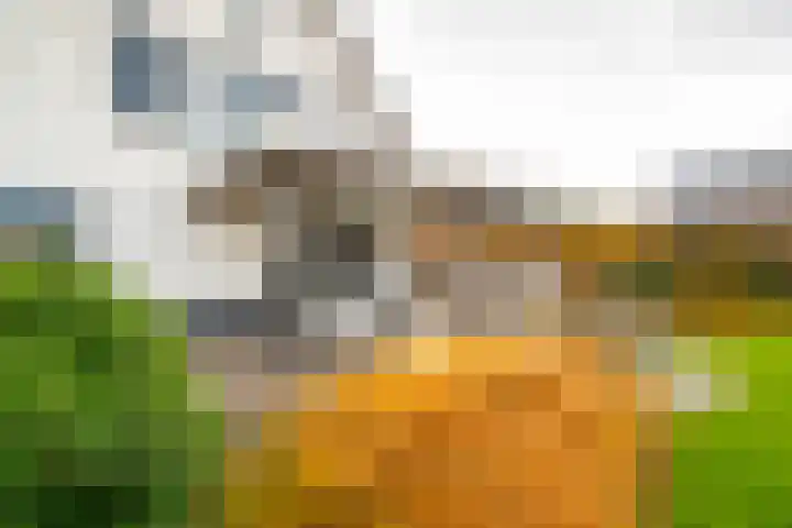 Buitenbos 14 Meteren thumbnail 39