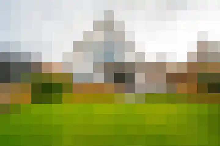 Buitenbos 14 Meteren thumbnail 4