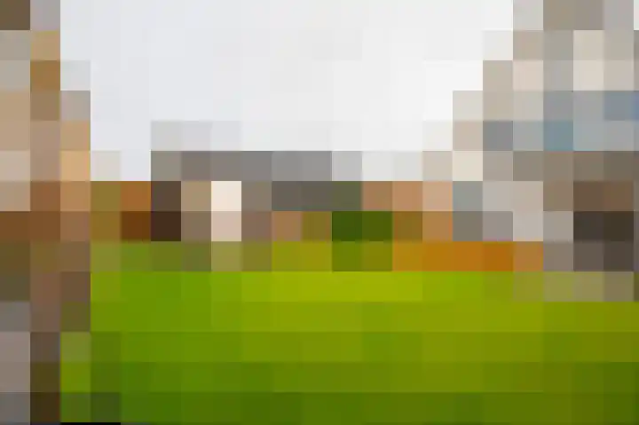 Buitenbos 14 Meteren thumbnail 41