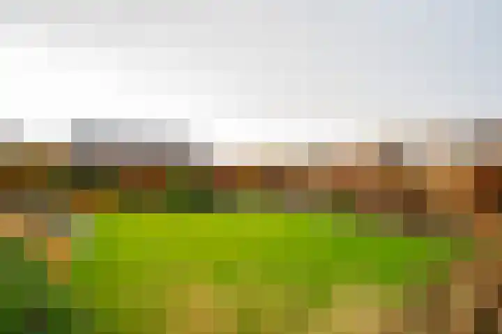 Buitenbos 14 Meteren thumbnail 42