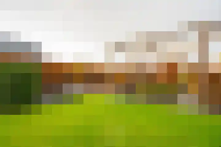 Buitenbos 14 Meteren thumbnail 44