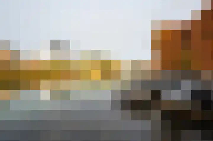 Buitenbos 14 Meteren thumbnail 45