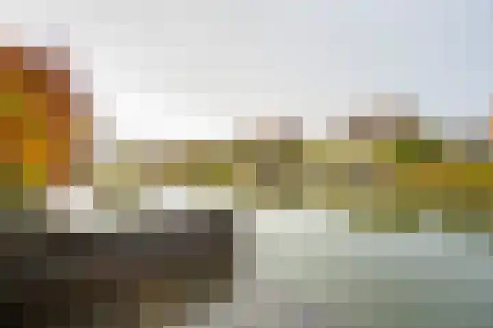 Buitenbos 14 Meteren thumbnail 46