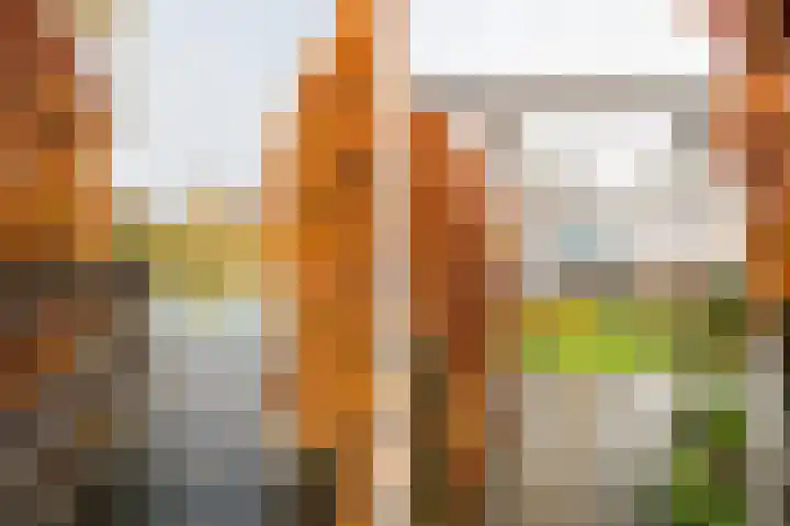 Buitenbos 14 Meteren thumbnail 47