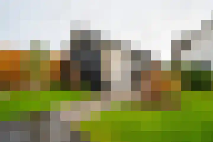 Buitenbos 14 Meteren thumbnail 48