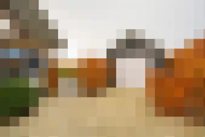 Buitenbos 14 Meteren thumbnail 49