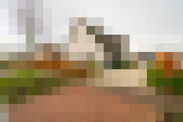 Buitenbos 14 Meteren thumbnail 5