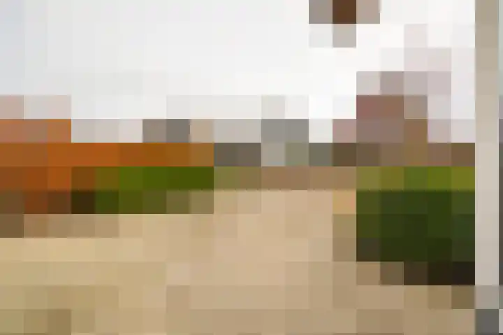 Buitenbos 14 Meteren thumbnail 50