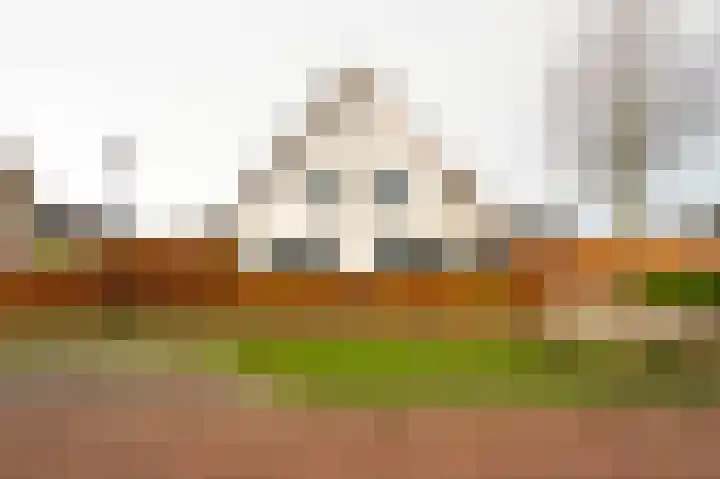 Buitenbos 14 Meteren thumbnail 51