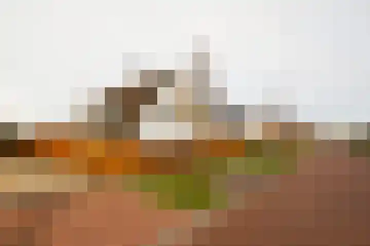 Buitenbos 14 Meteren thumbnail 52