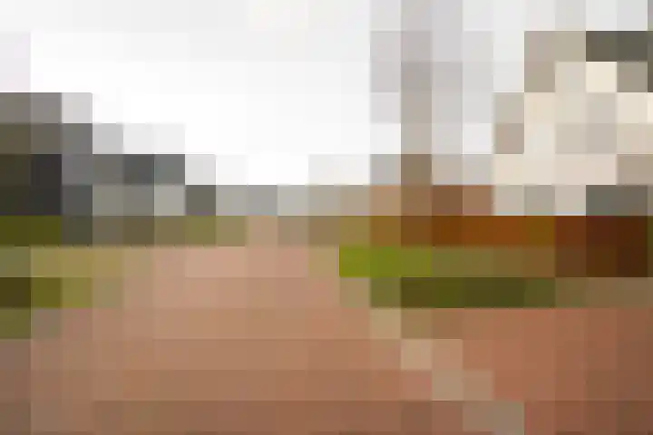 Buitenbos 14 Meteren thumbnail 53