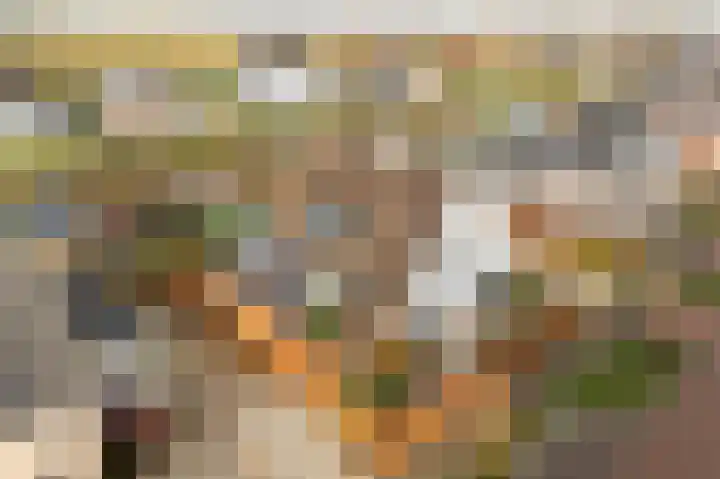 Buitenbos 14 Meteren thumbnail 54