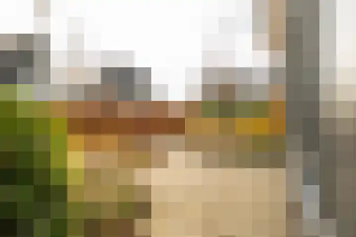 Buitenbos 14 Meteren thumbnail 6