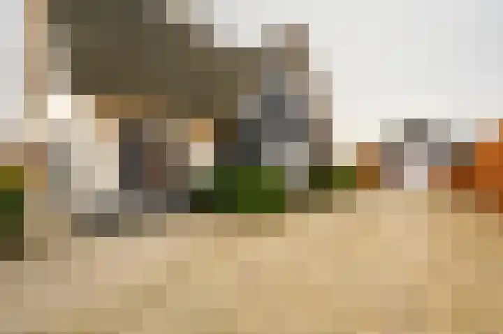 Buitenbos 14 Meteren thumbnail 7