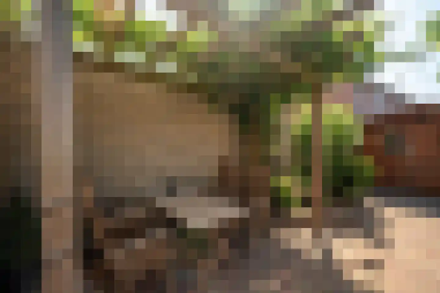 Buitenbree 11 Assen thumbnail 37