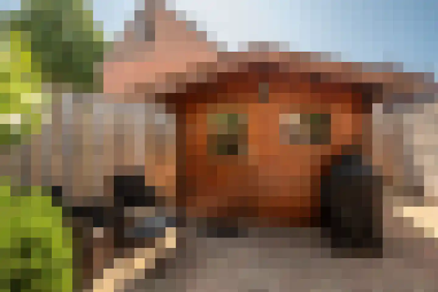 Buitenbree 11 Assen thumbnail 39