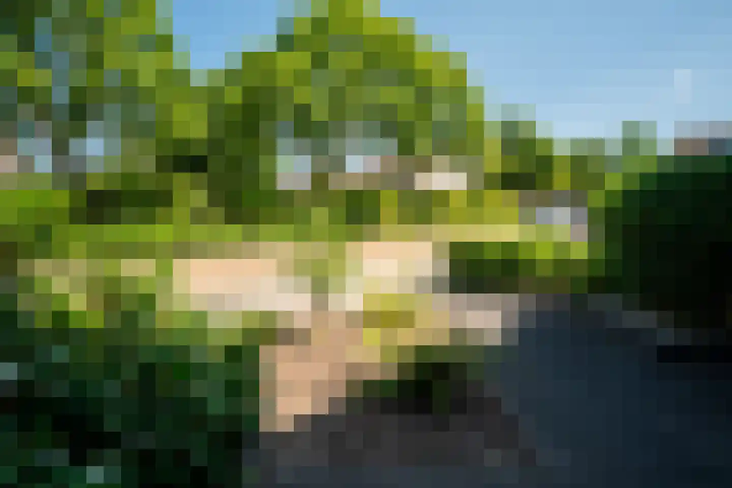 Buitenbree 11 Assen thumbnail 9
