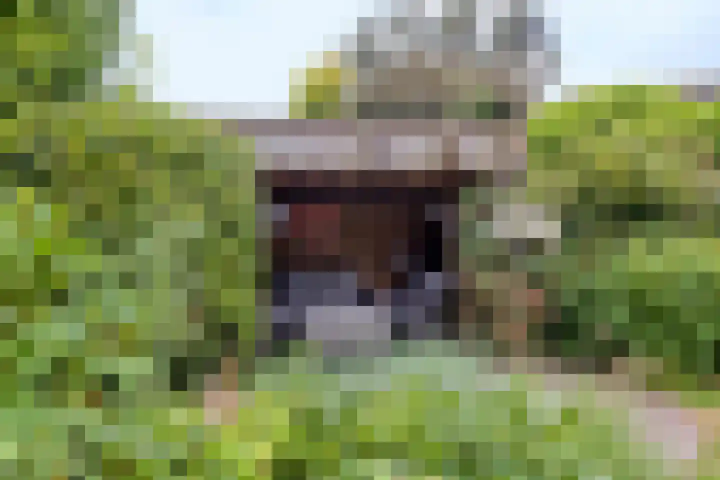 Buitenbree 18 Assen thumbnail 47
