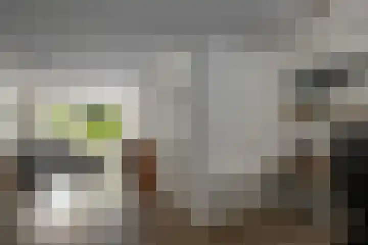Buitenbree 9 Assen thumbnail 14