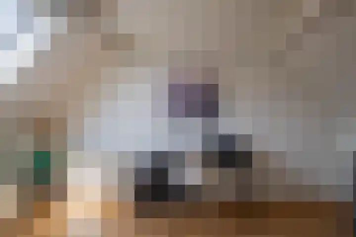 Buitenbree 9 Assen thumbnail 37