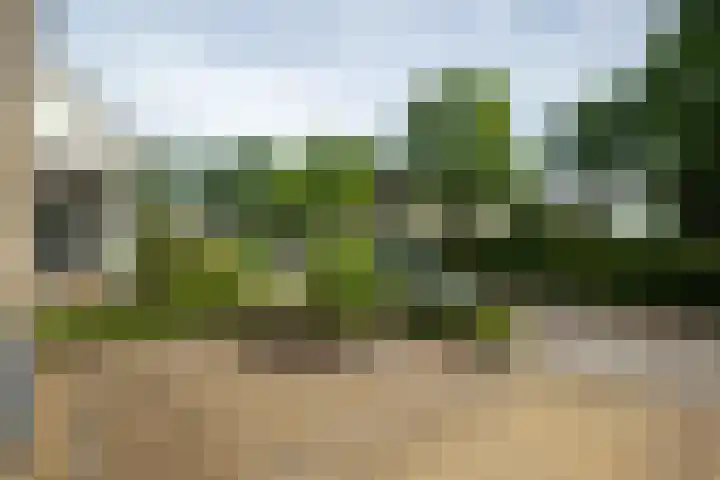Buitenbree 9 Assen thumbnail 4