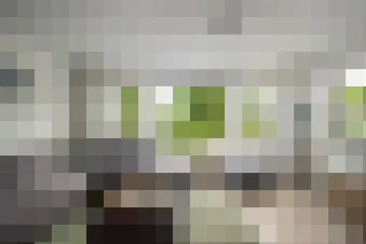Buitenbree 9 Assen thumbnail 8