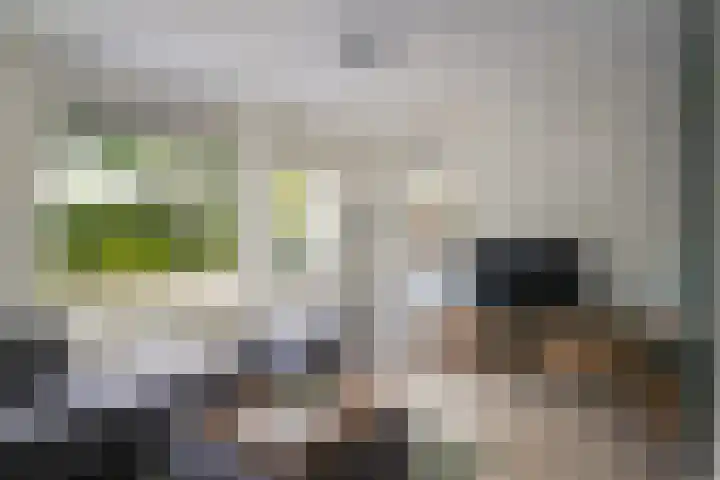 Buitenbree 9 Assen thumbnail 9