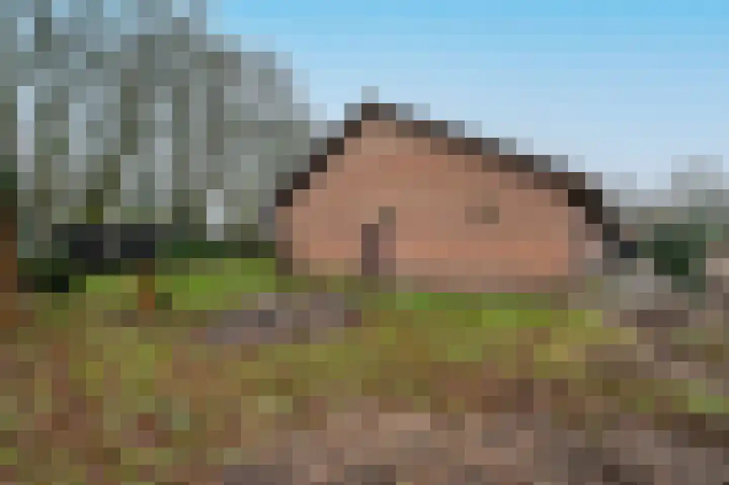 Buitenbrinkweg 52 Ermelo thumbnail 11