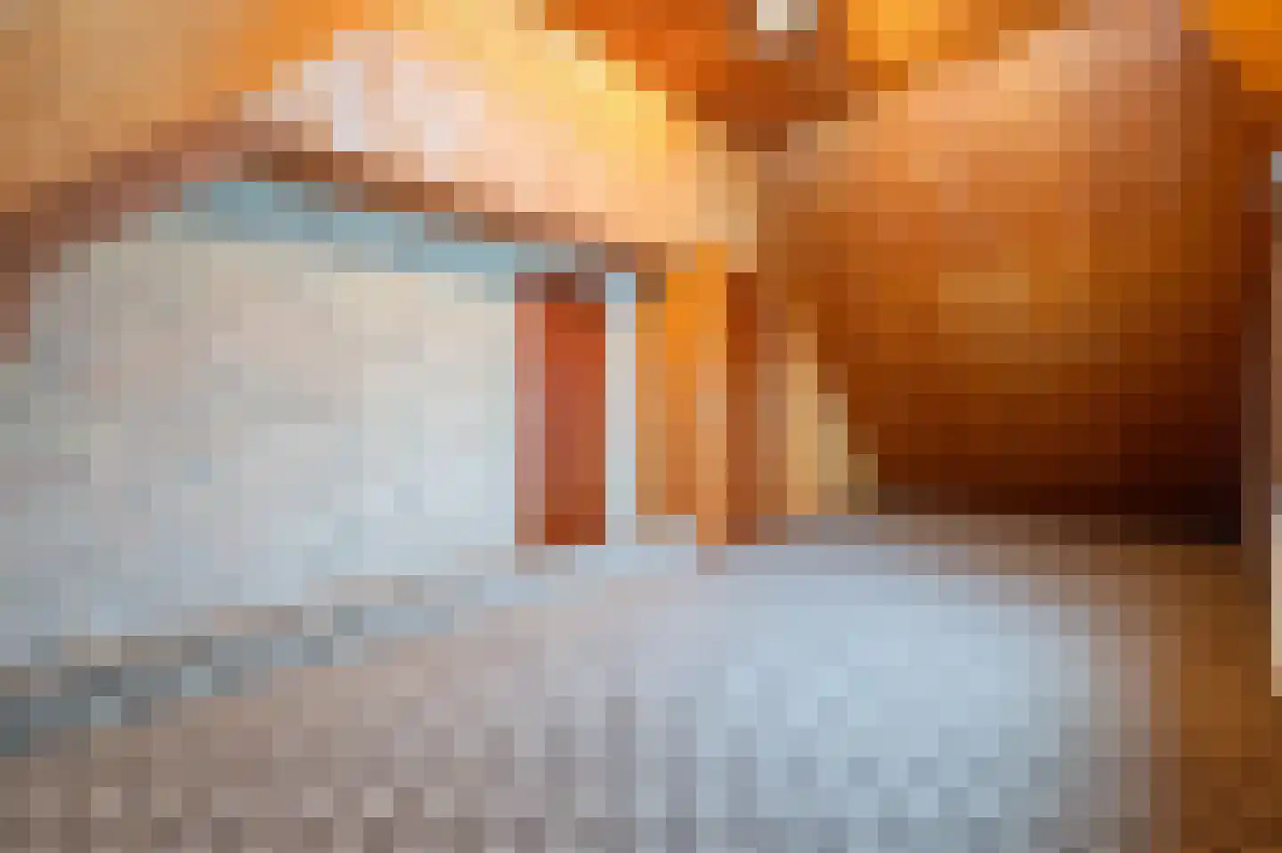 Buitenbrinkweg 52 Ermelo thumbnail 37