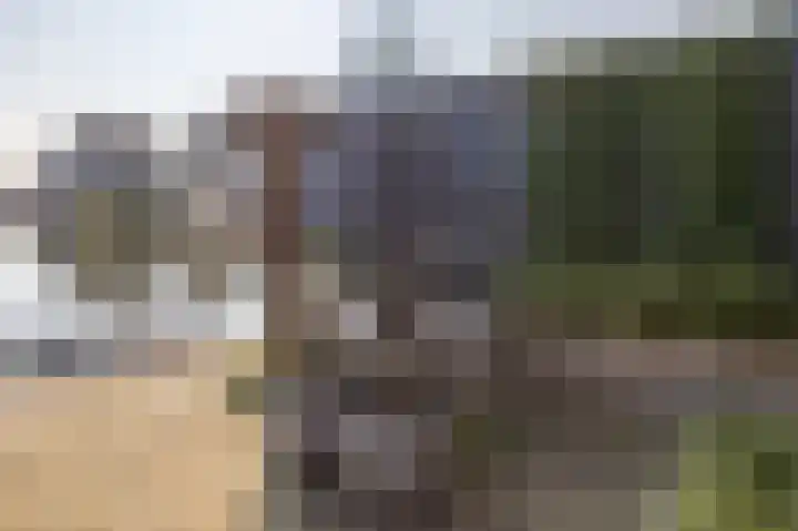 Buitendams 131 Hardinxveld-Giessendam thumbnail 19
