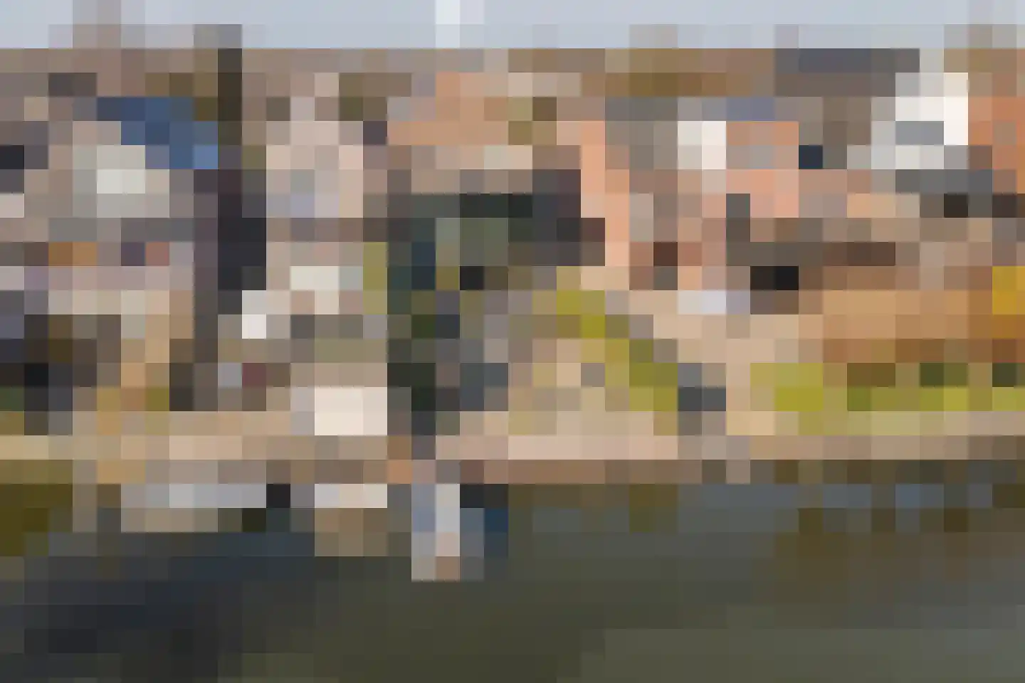 Buitendams 131 Hardinxveld-Giessendam thumbnail 4
