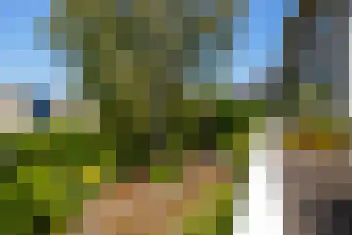 Buitendams 134 Hardinxveld-Giessendam thumbnail 15