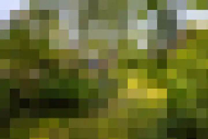 Buitendams 134 Hardinxveld-Giessendam thumbnail 38