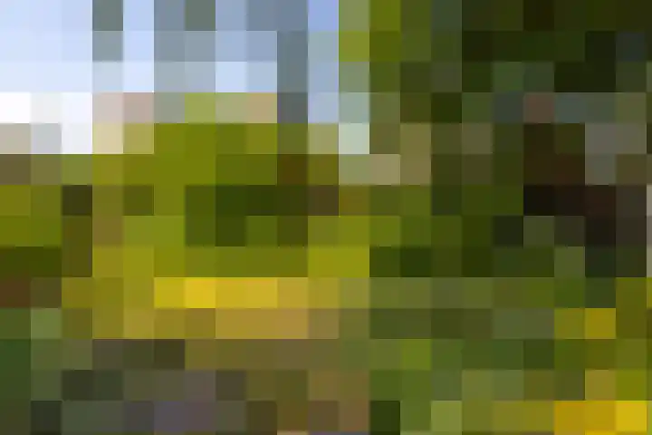 Buitendams 134 Hardinxveld-Giessendam thumbnail 39