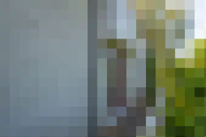 Buitendams 134 Hardinxveld-Giessendam thumbnail 42