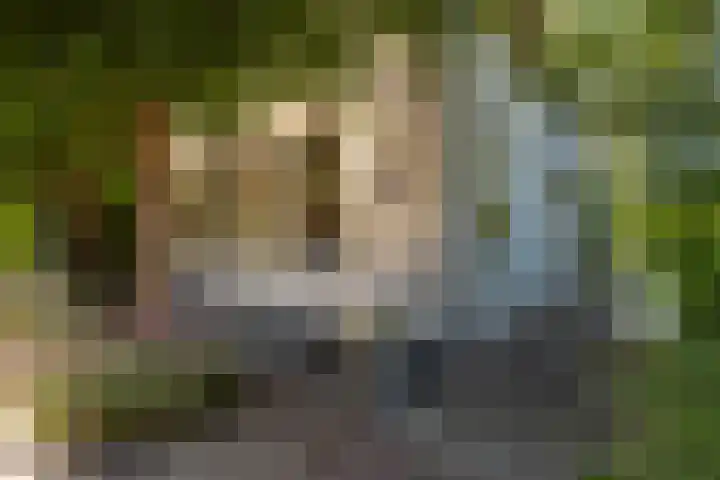 Buitendams 134 Hardinxveld-Giessendam thumbnail 43