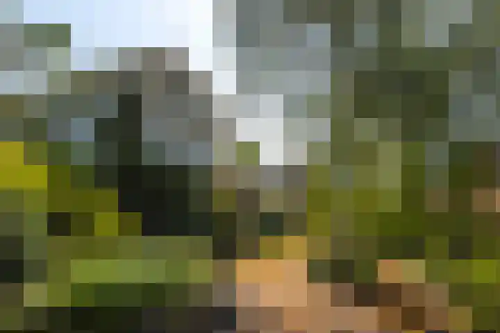 Buitendams 134 Hardinxveld-Giessendam thumbnail 47