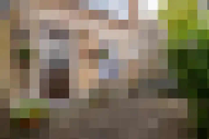 Buitendams 154 A Hardinxveld-Giessendam thumbnail 22