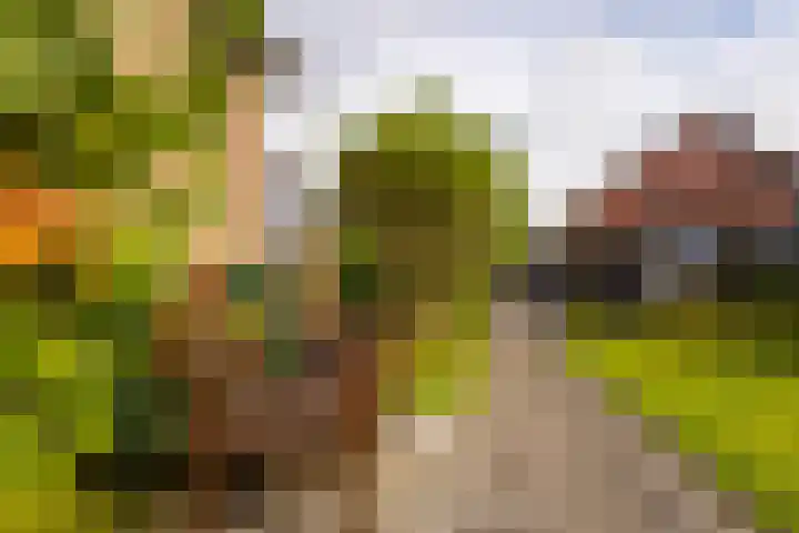 Buitendams 154 A Hardinxveld-Giessendam thumbnail 24