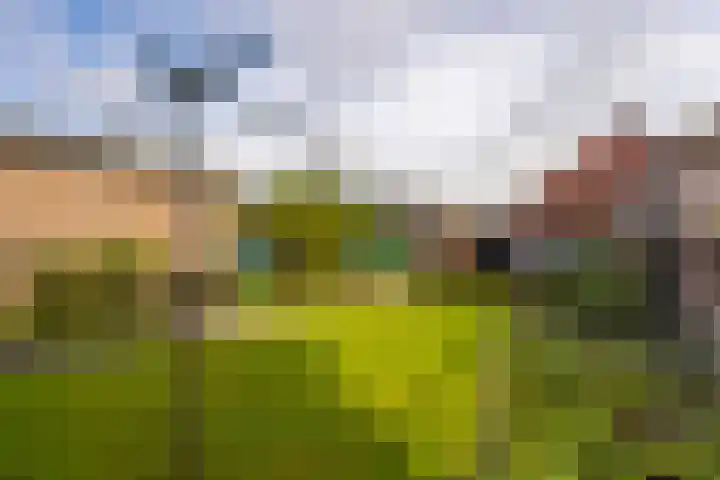Buitendams 154 A Hardinxveld-Giessendam thumbnail 25